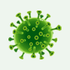 COVID-19 Protocol